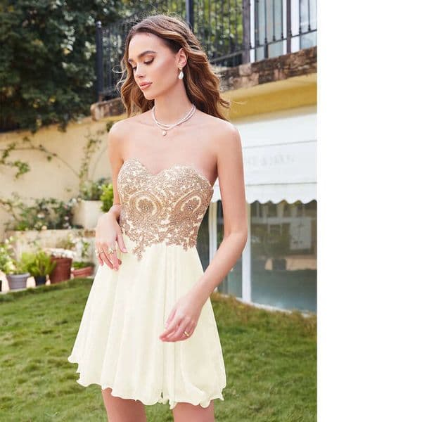 For Tail Graduation Homecoming Dresses Short A E V Neck Tulle Mini Party Gowns Ith Lace Cps406