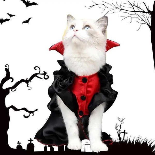 Cat Halloween Cape Cat Costume Funny Vampire Cosplay Novelty Kitten Clothes For Halloween Christmas Cute Scary Spooky Pet CostumXJ240906