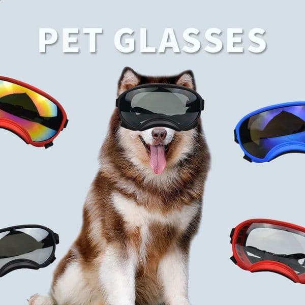 Large dog cool waterproof windproof and UV resistant sunglasses in pet supplies military dog tactical goggles 240923