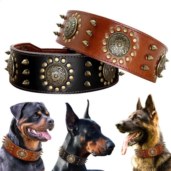 Leather dog bulldog pointed stud suitable for medium-sized large dogs genuine leather durable pet collars brown 240923