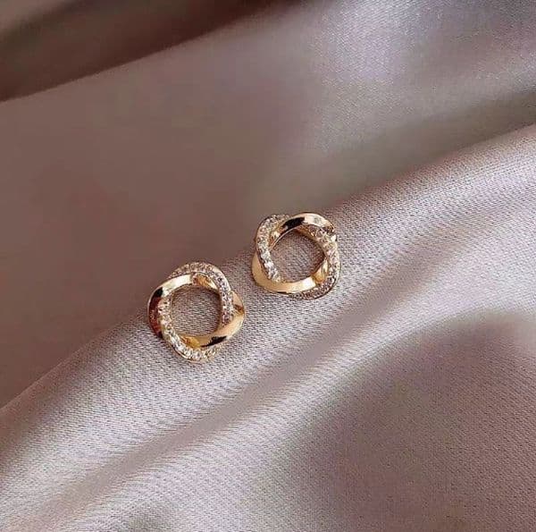 2026 Designer Earrings and Popular beautiful on the Internet Advanced Earrings and Earrings New Trend