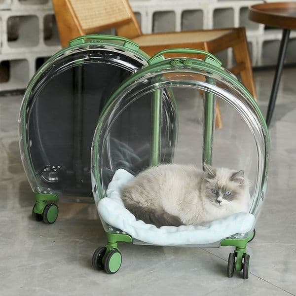 2025--Full transparent cat carrying case large capacity cat dog aviation case pet transparent pull rod space capsule portable outdoor bubble Draw bar box Pet travel