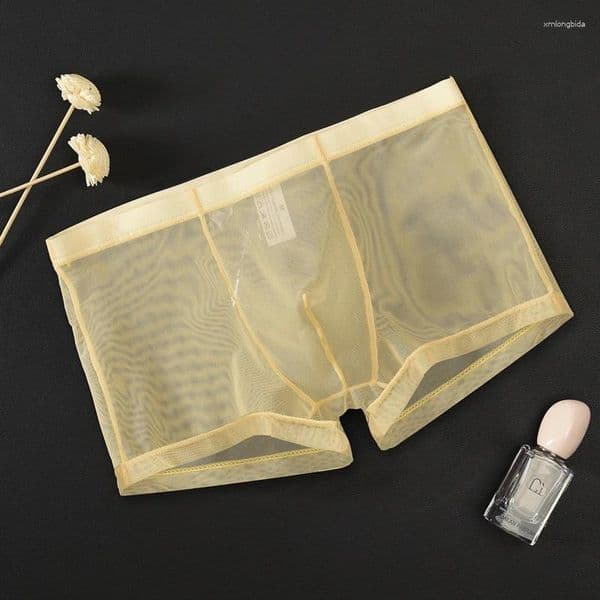 Underpants Man Undrewear Sexy Ultra-Thin Transparent Mesh Breathable Men's Boxer Briefs Male Boxershorts Homme Panties Shorts