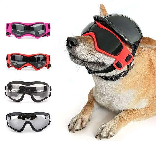 For Small Breeds Dogs Dog Glasses Pet Goggles Small Glasses for Large Dogs Motorcycle Glasses For Dog Glass for Dog Uv Supplies 240801