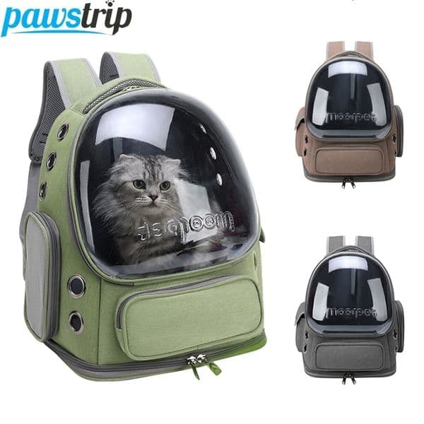 Transparent Pet Cat Bag Outdoor Travel Backpack for Cats Small Dogs Breathable Cat Carrying Bag Pet Supplies 240731