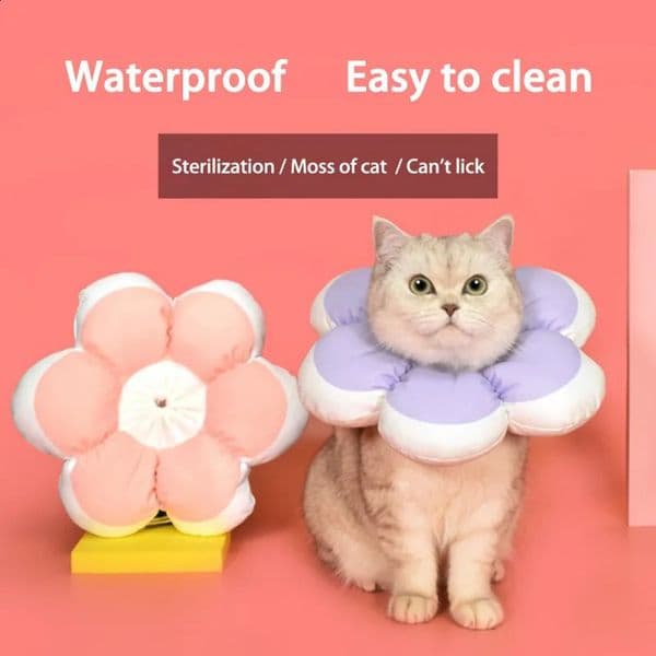 Cotton Flower Cat Cone Collars Pet Antibite Small Dog Recovery Kitten Elizabethan Collar Protective Neck Ring 240802