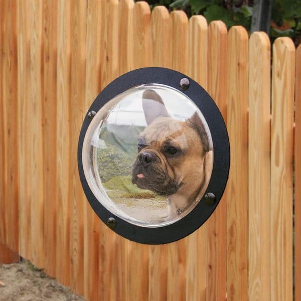 Dog Window For Fence Porthole Window Pet Acrylic Dome Dog Fence Peek Window Pet Supply Clear View Dome Pet Peek Window 240801