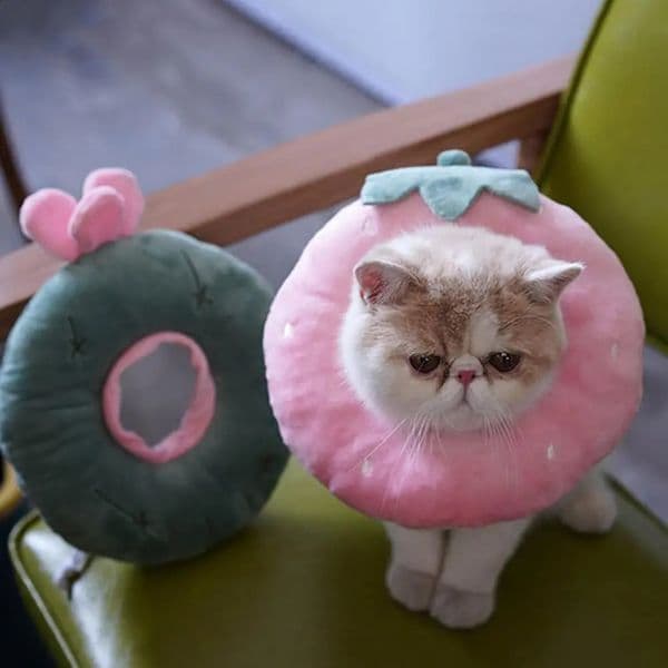 Cat Recovery Colla Long Lasting Pet Neck Cone Super Soft Wear Resistant Cat Wound Healing Protective Cone Elizabethan Collar 240801