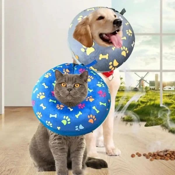 Inflatable Dog Cones SMLXL Soft Elizabethan Collar Cartoon Pattern Fastener Tape Cat Protective Cone Wound Recovery 240801