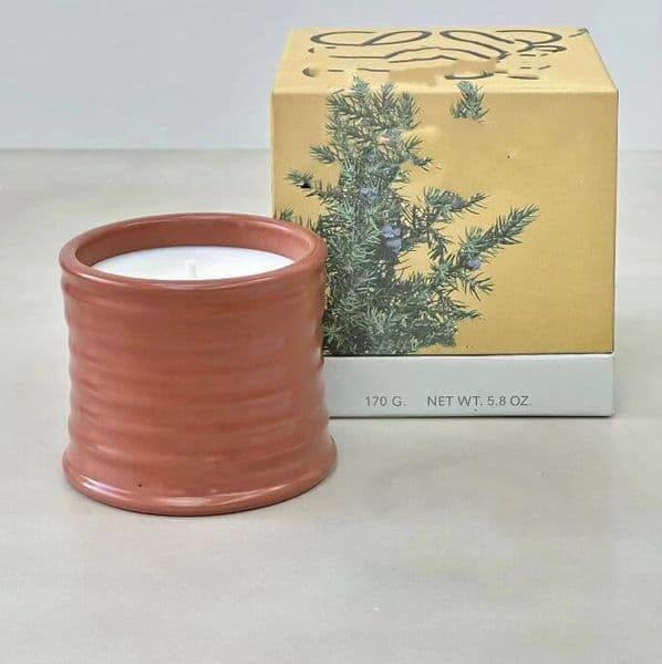 Designer Aromatherapy With Tomato Leaf & Orange Blossom Scent - 170G Soy Wax Candle For Home, Birthday