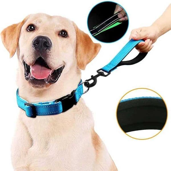 Dog Leash Short Dogs Leash Reflective Leashes for Dog Walking Nylon Rope Short Dogs Leashes 30cm Comfortable Handle Pet Chain Y240803