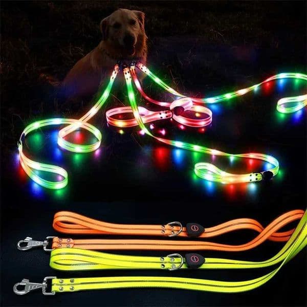 Led Light Up Dog Leash Walking Safety Glow in The Dark USB Rechargeable Adjustable for Large Medium Small Pet Lighted Dog Collar Y240803