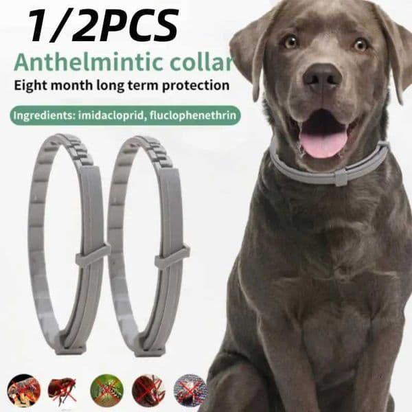 Pet Anti Flea Collar Adjustable Antiparasitic Cat Dog Necklace Portable Outdoor Anti-mosquito Insect Repellent Pet Supplies Y240803