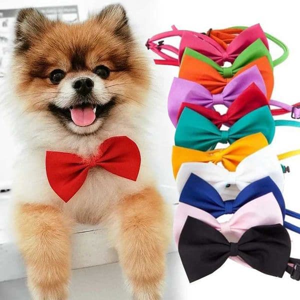 Pet Dog Cat Necklace Adjustable Strap For Cat Collar Dogs Accessories Pet Dog Bow Tie Puppy Bow Ties Dog Pet Supplies Accessorie Y240803