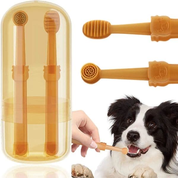 Pet Silicone Toothbrush Cat Tooth Brushing Kit with Storage Cup Dental Care for Small Pets Ferret Dutch Pigs 240807
