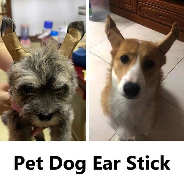 Practical Corrective Dog Ear Stickers Milk Calcium Herb Ear Standing Correction Breathable Care Tools for Dog Accessories 240807