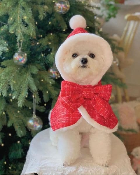 Pet Christmas Hooded Cape Costume Cloak Funny And Cute Plush Dog Of Small Medium Sized For Home 240807