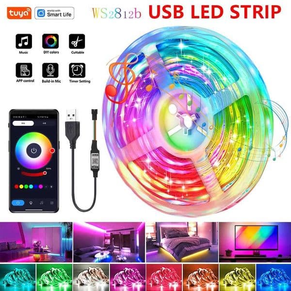 Dream Color RGB IC Led Strip LightTuya APP DIY Multiple Colors on One Line LED Lights Music Sync for Gaming RoomHalloween Y240807