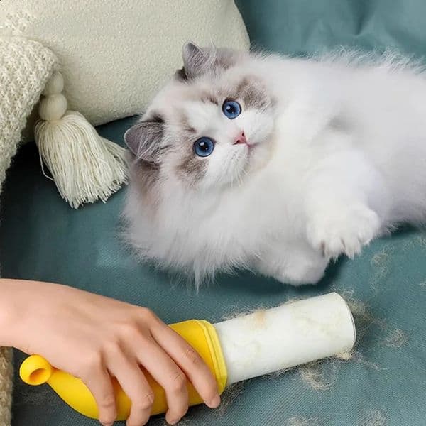 Multi purpose pet hair remover plush roller cat hair cleaning brush carpet sofa clothes sticker roller dual-use 240812