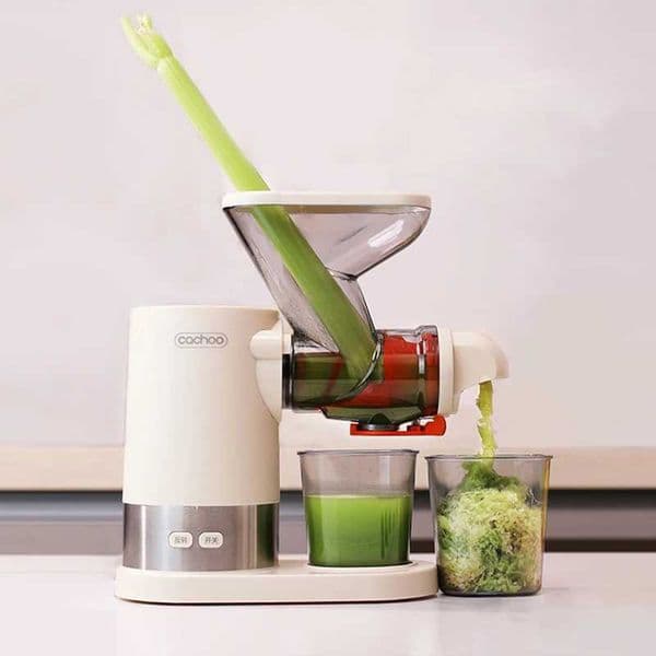 New Slow Juicer Multifunction Fruit Vegetable Screw Cold Press Extractor Automatic Squeezer Citrus Juicer Portable Blender 220V CL240815