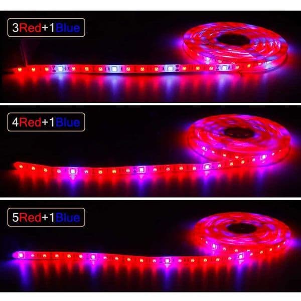 LED Strip grow Light 5050 Chip 5M DC12V LED PhytoLamp Full Spectrum Fitolampy lighting for plants Greenhouse Hydroponic Seeding Y240816