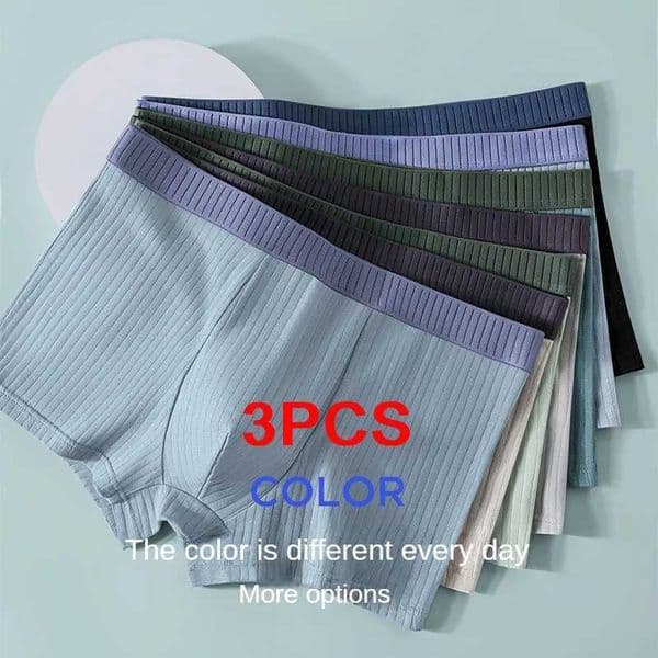 3PCS/set Mens Panties Pure Cotton Briefs Breathable Traceless Shorts Sports Large Size Panties New in Underwear for Men GiftXJ240815