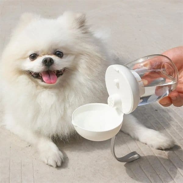 300ml portable pet water bottle outdoor travel beverage cup feeding bowl with drawstring suitable for small and medium-sized cats dogs and pet supplies 240816