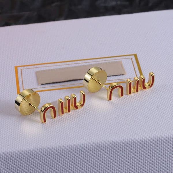 Gold Earrings Designer for women Silver Earrings Enamel Decorated Luxury Titanium Earrings Party Gifts Designer Jewelry