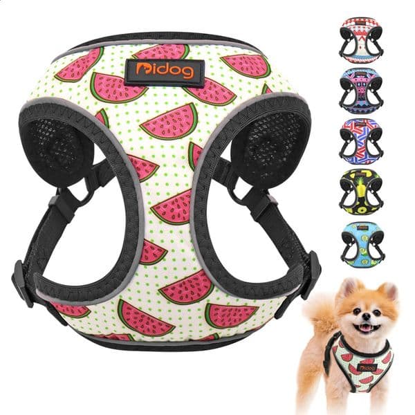 Nylon Reflective Dog Cat Harness Vest Printed French Bulldog Harness Puppy Small Medium Dogs Cats Harness For Chihuahua Walking 240819