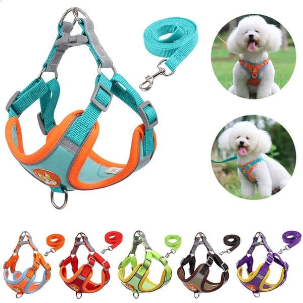 Dog Harness and Leash Set Reflective Adjustable Puppy Cat Harness Outdoors Walking Vest Harness For Small Medium Dogs 240819