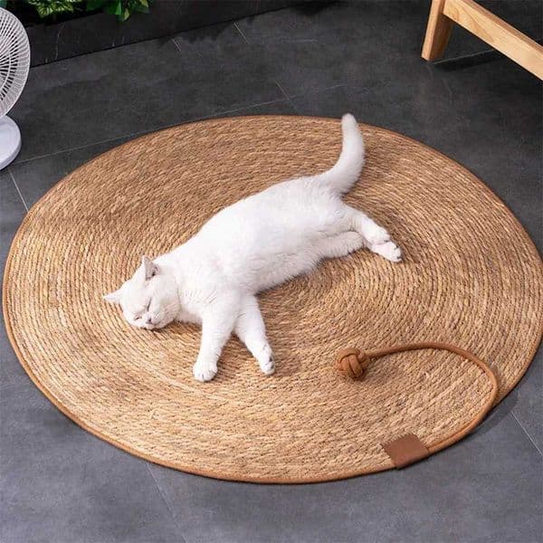 Cat Scratcher Rattan Mat Board Cat Scratch for Sharpen Nails Scraper Cats Tree Cat scratching post Sofa Mats Furniture ProtectorXJ240817