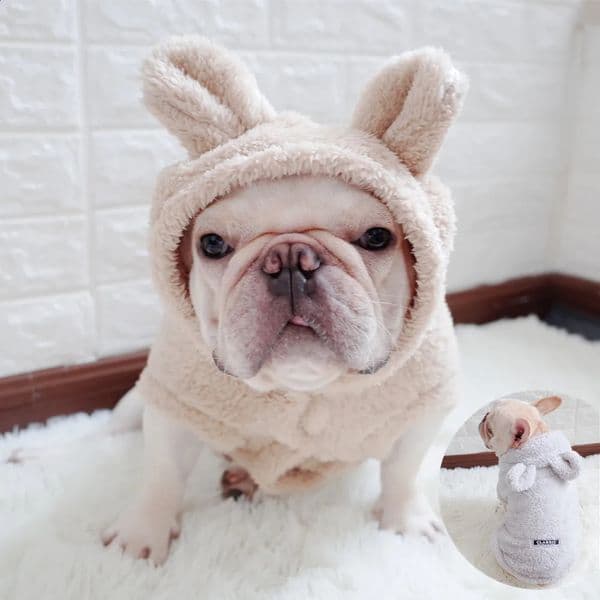 Winter Pet Dog Clothes Dogs Coat Jacket Cotton Ropa Perro French Bulldog Clothing Cute Dog Hoodie For Dogs Pets Clothing Pug 240823