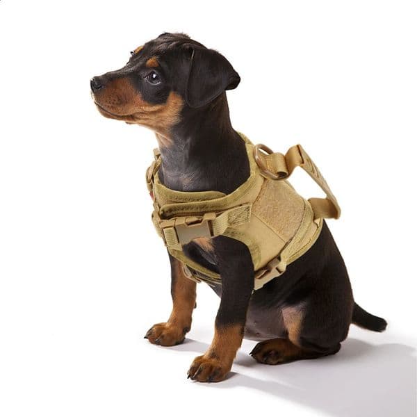 Tactical Puppy Harness Leash For Small Dogs Cats Adjustable Kitten K9 Vest With Patch For Military Service Dog Working Training 240824