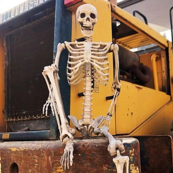 5.4 feet 165cm Halloween reality full skeleton life size human bones Halloween party props haunted house garden courtyard decoration 240824