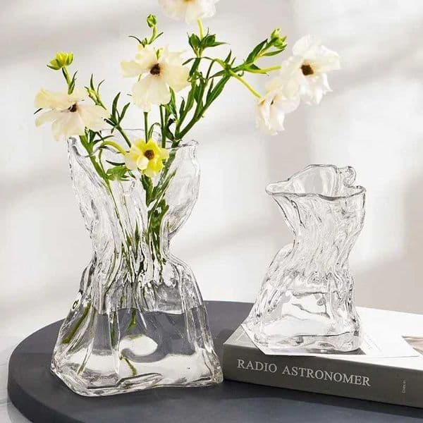 Irregular Transparent Glass Flower Vase 23cm9cm Big Flower Bottle Tabletop Hydroponic Pot Home Living Room Table Decorations L260516