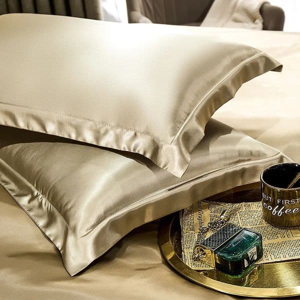 Pillow Case 100% pure natural silk pillowcase mulberry silk pillowcase 2 pieces 240829