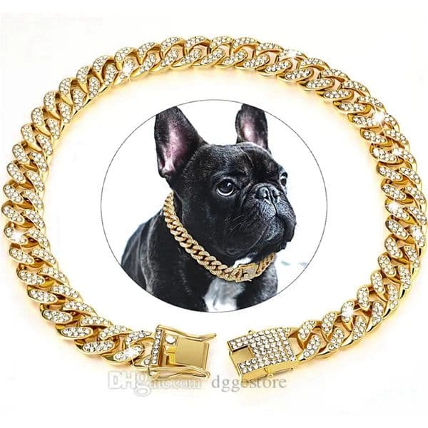Luxury Dog Chain Diamond Collar Walking Metal Chain Collar with Design Secure Buckle, Pet Collar Jewelry Accessories for Small Medium Large Dogs Cats (Gold, 12 Inch) B223