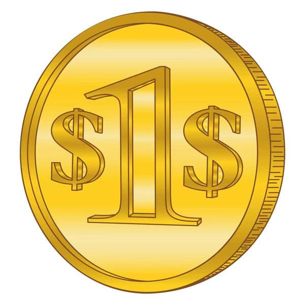 PAYLING FAST PAY for VIP order or DHL REMOTE fee because your address is remote the delivery ask for special cost