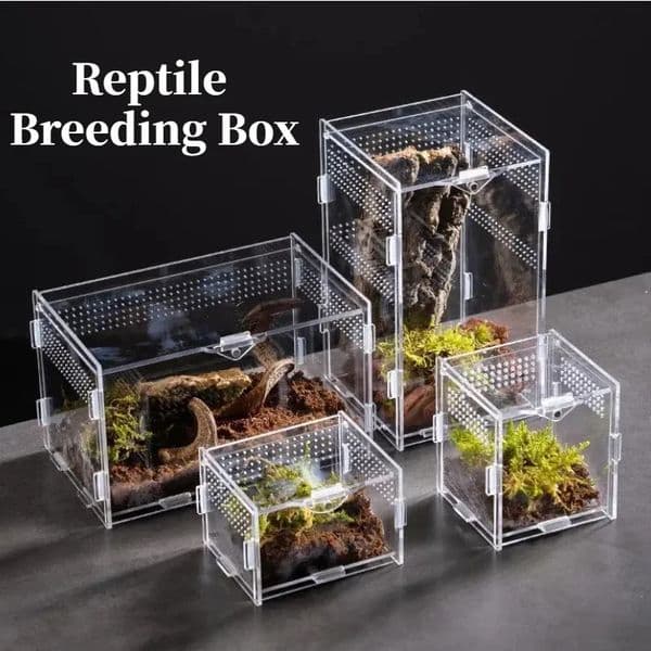 Reptile Habitat Terrarium Breeding Box Acrylic Case Nano Arboreal Tarantula Enclosure Spider Scorpion Bearded Dragon Habitat 240511