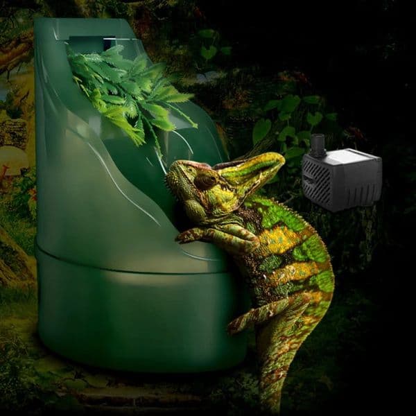 110V Reptile Water Dispenser Automatic Drinking Fountain Humidify Bearded Dragon Water Dripper Bowl Terrarium Lizard Water Dish 240511