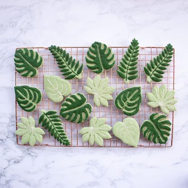 Japanese Aralia Devils Ivy Monstera Fern Green Leaf Diy Plastic Cookie Cutter Fondant Molds Baking Accessories Tool for Cake