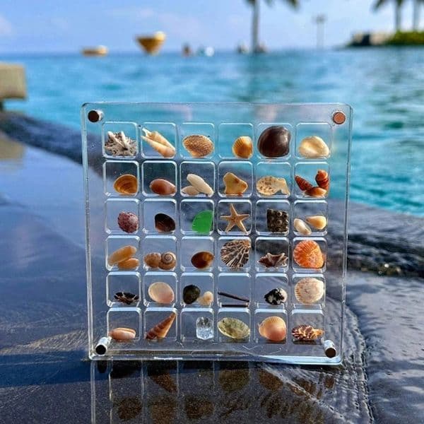 Acrylic Magnetic Seashell Display Box 36 Grid Transparent Display Box Mini Shell Storage Decorative Box Decorative Accessories 240514