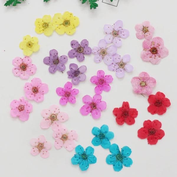 60pcs Mini Pressed Dried Narcissus Jonquilla Flower Plant Herbarium For Epoxy Resin Jewelry Bookmark Postcard Nailart DIY