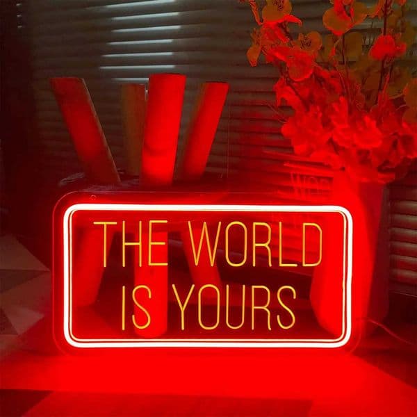 12 colors The world is your neon sign car personalized LED lights for decorating the walls of the game room with neon lights X241210