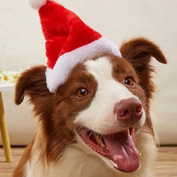 Christmas dog costumes pets cats dogs Christmas hats plush Christmas hats Merry Christmas decorations M241212