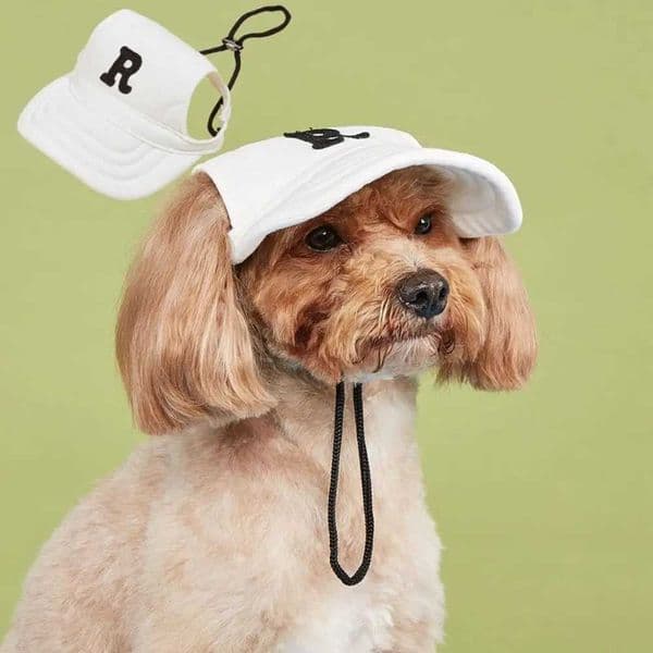 Dog Bonnet Cap Embroidered Dog Sport Letter Cap Adjustable Breathable Dog Sun Hat with Ear Holes Pet Baseball Cap Travel M241212