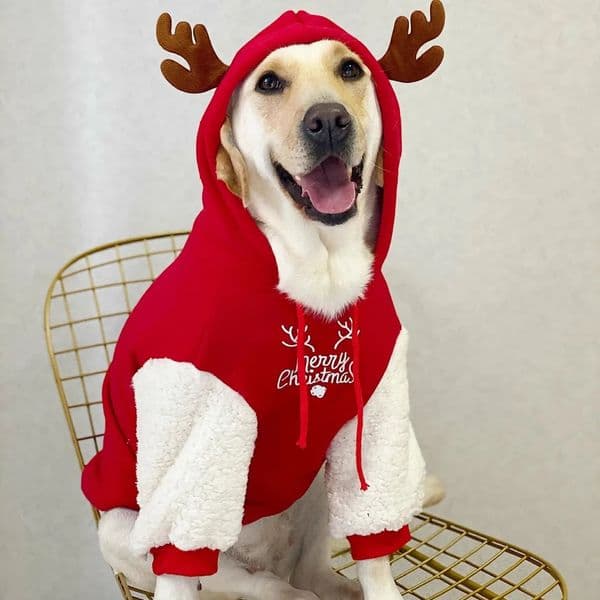2025 Christmas Dog Clothes Hoodies Fleece Warm Sweatshirt Small Medium Large Dogs Jacket Clothing Pet Costume Dogs Clothes 241212