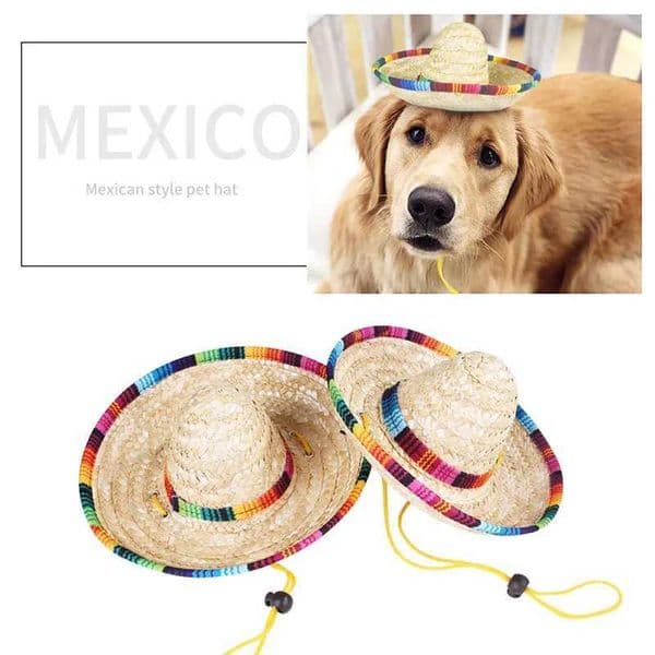 Chinese traditional straw hat dog wig Mexican style puppy clothing cat clothing cat supplies small animal pet accessories M241212