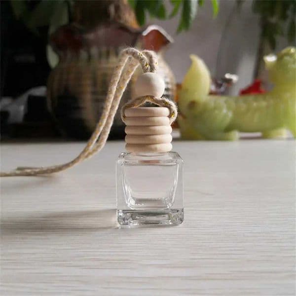 Luxury Perfume Designer 1~10Pcs Perfume Car Air Ener Refill Smell Remover Fragrance Diffuser Plant Essential cologne Oil For Humidifier Free Ship