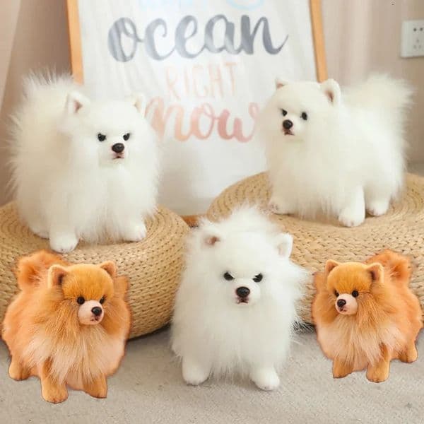 Premium Simulation Pomeranian Dog Plush Toy Cute Stuffed Animals High Quty Puppy Plushies Doll Cartoon Soft Kids Toys Gifts 241220ww